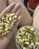 茗愿茉莉花苞110g广西横县三伏晴天茉莉花茶干花蕾泡水喝的花草养生茶 实拍图