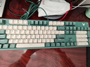 雷柏（Rapoo）V500PRO米绿升级款 104键有线背光机械键盘 PBT双色键帽电脑办公游戏全键无冲可编程键盘 红轴 实拍图