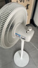 美的（Midea）【品质推荐】七叶轻音柔风电风扇/家用省电落地扇/台式电扇/广角摇头节能宿舍小型风扇 SAE35CA 实拍图