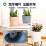 九千谷花盆创意欧式简约蓝色小号2个装多肉植物简约塑料花盆带托盘4245 实拍图