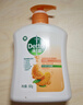 滴露（Dettol）洗手液柑橘500g瓶 健康抑菌消毒清爽 儿童家庭非补充装替换 实拍图