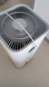 米家小米空气净化器5S【缓解花粉过敏】家用除甲醛除菌除过敏AC-M24-SC 实拍图