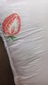 水星家纺枕头枕芯酒店枕头护颈枕头芯家用单个纯棉抗菌可水洗中枕48x74cm 实拍图