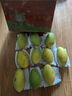 庾丰 海南芒果 新鲜水果生鲜整箱当季大青皮金煌芒 热带孕妇玉芒果 10斤装(净果8.5-9斤)单果200g+ 实拍图