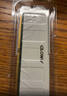 光威（Gloway）16GB DDR4 2666 台式机内存条 悍将 马甲条 精选颗粒 CL19 AI电脑配件升级 实拍图
