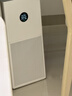 米家小米空气净化器4lite 除甲醛除菌除异味 空气伴侣 除PM2.5 AC-M17-SC 实拍图