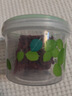 茶花（CHAHUA） 塑料保鲜盒罐储物盒密封盒罐厨房冰箱家用收纳盒罐韵彩 440ML  矮款_1只装 实拍图