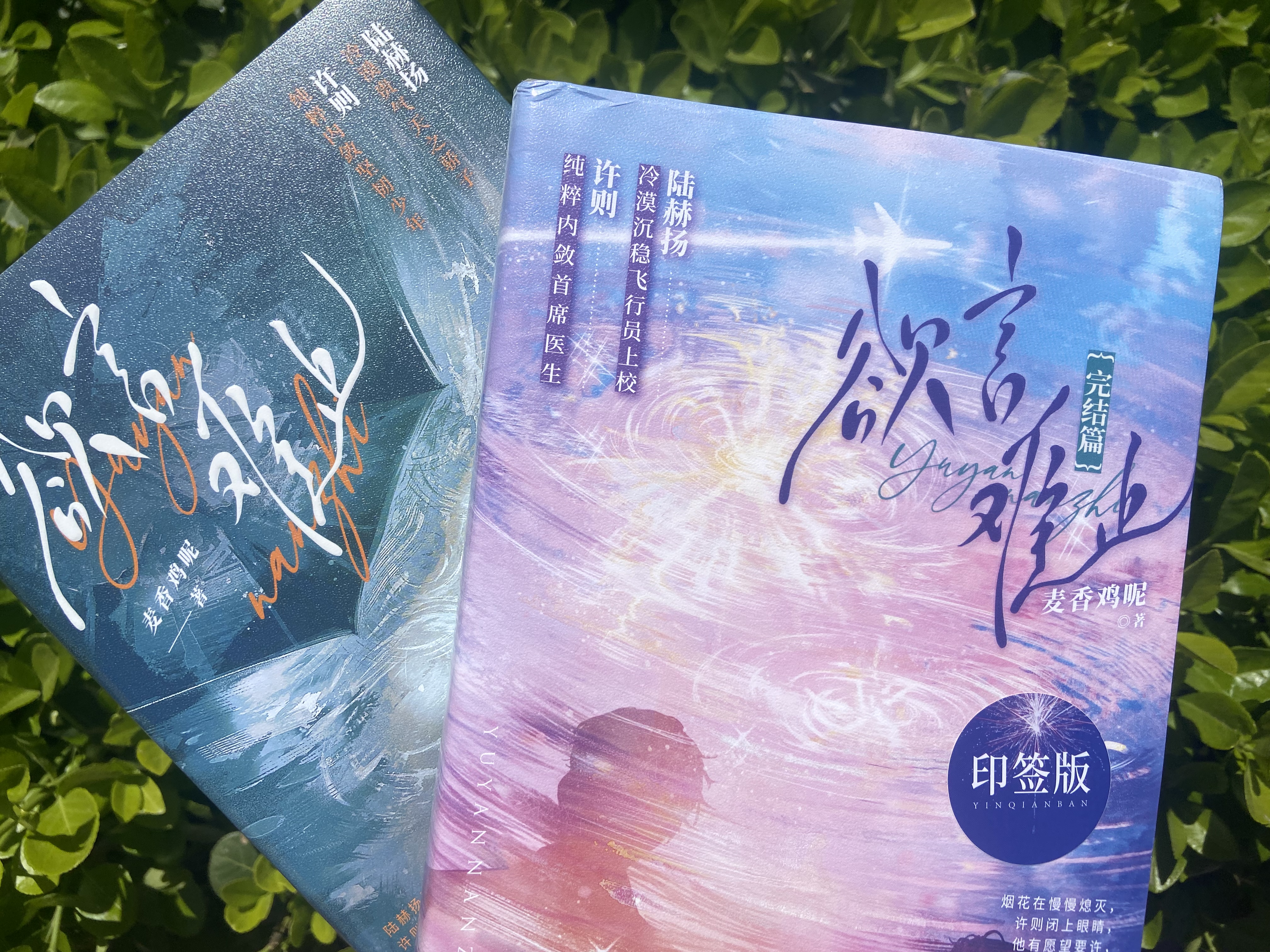 【赠双人书签+铭牌2+手环+学生证2+海报+收藏卡+双人书签】 欲言难止（全两册）麦香鸡呢 著 现代青春校园暗恋纯爱酸涩小说实体书 青春文学 言情小说 实拍图