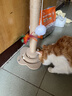 HELLOJOY猫抓柱剑麻猫抓板猫玩具耐抓耐磨不掉屑猫爬架立式自嗨解闷用品 实拍图