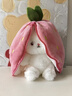 尚韵儿童情人节新年生日礼物女生草莓兔子玩偶娃娃毛绒玩具女孩公仔 实拍图