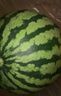 京鲜生 麒麟无籽西瓜 1粒装 净重7-9斤 生鲜水果 实拍图