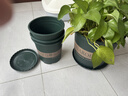 墨斗鱼花盆加仑盆加厚高款1加仑*3多肉绿萝月季盆栽树脂塑料简约带托盘 实拍图