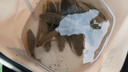 光威（GW）1.98米ML调黄蜘蛛伸缩路亚竿套装超短节便携鱼竿泛用路亚杆钓鱼竿 实拍图