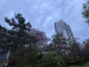 松下（Panasonic）剃须刀电动刮胡刀小方盒mini便携款往复式进口刀头男生生日礼物礼盒男士送男朋友父亲cm20黑 晒单实拍图