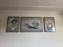 诗六艺家饰客厅装饰画北欧现代简约沙发背景墙挂画三联画大气轻奢壁画晶瓷画 前程似锦（铝合金外框） 晶瓷画左右50*70+中间100*70亮面 实拍图