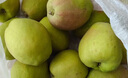 京鲜生 新疆库尔勒香梨 4.5斤装 稀缺 单果140g+ 生鲜水果 实拍图