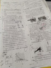 自选】2026正版江苏十三13大市中考试卷与标准模拟优化38套好卷速递24套语文数学英语物理化学 恩波教育初三总复习真题提优版训练习教辅资料 （26）优化38套-物理 实拍图