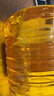 鲁花食用油 物理压榨 非转基因 玉米油6.18L 家用粮油 健康植物油 实拍图