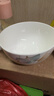 高颜值家用银杏时光米饭碗大面碗陶瓷餐具家用新骨瓷陶瓷碗 银杏时光 5英寸一个碗活动 实拍图