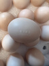 京鲜生【供港品质】【每日鲜蛋】无抗谷物鸡蛋30枚3.78斤当日产蛋当日发 实拍图