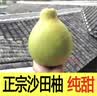 柚满园【纯甜不酸】梅州沙田柚子南福金柚正宗甜碌柚新鲜水果批发梅县 2个带箱4.5-5斤 实拍图