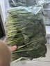 【24小时菜】菠菜苗250g(长度≤20cm) 实拍图