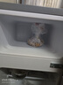 志高（CHIGO）小冰箱迷你小型家用冷藏冷冻两用宿舍出租房用双门办公室电冰箱节能省电 【店长推荐】48L银色【一级能效丨全国联保】 实拍图