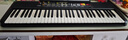 雅马哈（YAMAHA）(YAMAHA) PSR- F52儿童成人通用零基础初学入门娱乐演奏电子琴 实拍图