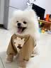 嬉皮狗狗狗防尘裤小型犬防脏防尿防水四脚衣服冬天腿套 M码 实拍图