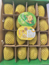 佳沛（zespri）新西兰 新果季 阳光金奇异果16粒礼盒经典果单果 88-103g  猕猴桃 实拍图