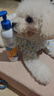 麦德氏IN狗狗99%晶亮鱼油236ml（大规格）宠物狗狗猫咪鱼油美毛亮毛 实拍图