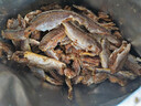 香海 黄鱼酥2斤量贩装1kg  温州特产肉干肉脯休闲零食黄鱼酥小吃 实拍图