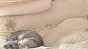 猫人【一裤三穿】安全裤打底裤无痕收腹提臀冰丝平角裤免穿内裤防走光 实拍图