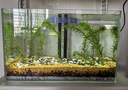 YEE超白鱼缸桌面客厅生态斗金鱼乌龟缸造景小型水草养鱼玻璃裸缸50cm 实拍图