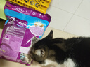 伟嘉猫粮老年猫粮老龄猫1.3kg海洋鱼味夹心粮全价粮 实拍图