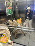 南木熊连衣裙2026新款早秋夏白色吊带法式裙子女穿搭法式气质高级感套装 吊带裙+开衫【80-120斤】 晒单实拍图