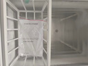 荣事达（Royalstar）冰柜家用小型冷藏冷冻转换冷柜迷你雪糕柜商用单温卧式冰箱囤货速冻保鲜节能 138D【冷藏冷冻转换+多档温控调节】 40L 实拍图