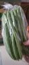 四季豆300g(架豆） 实拍图