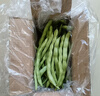 农家四季豆新鲜现摘云南长扁豆角农家应当季蔬菜芸豆现摘菜豆 新鲜四季豆3斤带箱 实拍图