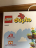 乐高（LEGO）积木拼装得宝10993 3合1创意树屋男女孩儿童玩具520礼物大颗粒 实拍图