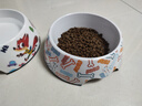 华元宠具（hoopet）狗狗碗狗盆不锈钢猫咪碗食盆喂食喝水宠物防打翻狗粮猫粮专用饭盆 双层-多彩骨头 打翻可退 L 实拍图