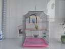 獒少保鸟笼鹦鹉专用鸟笼大号家用八哥鹦鹉笼子金属电镀加粗豪华鸟别墅 电镀银豪华套餐 大号56*32*31cm 实拍图