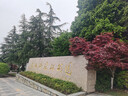 优家（UPLUS）100分粉扑（XL水滴形）棉花糖气垫粉扑干湿两用粉扑Z004 实拍图