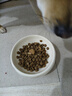 LEGENDSANDY蓝氏狗粮金毛柯基泰迪全犬种成犬幼犬荒野猎兔冻干犬粮250g 实拍图