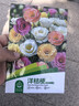 花沃里洋桔梗花种子500粒花卉种子家庭盆栽阳台庭院四季水果阳台盆栽 实拍图