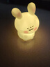 卡通小夜灯房间可爱少女心氛围灯生日礼物送女孩子儿童发光小玩具 腮红兔/大号 +配10颗备用电池 实拍图