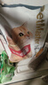 佩玛思特升级款深海鱼三种鱼成猫猫粮呵护肠道10kg 实拍图
