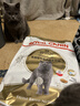 皇家猫粮 英短成猫粮 BS34 通用粮 12月以上 10KG 实拍图