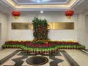 朗格【无胶锁纱】磁吸纱窗网自装金刚防蚊纱网防虫隐形纱窗帘自粘窗户 实拍图