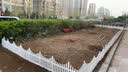 安瑾小花园栅栏塑料栅栏花园围栏室内装饰栅栏白色小围栏室外草坪花池 欧式护栏（量少不包邮） 地面以上40cm高（最高处）*80cm长（12cm插地里） 实拍图